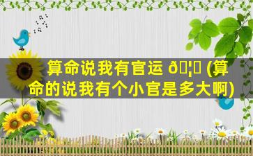 算命说我有官运 🦉 (算命的说我有个小官是多大啊)
